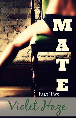 Mate book cover 2