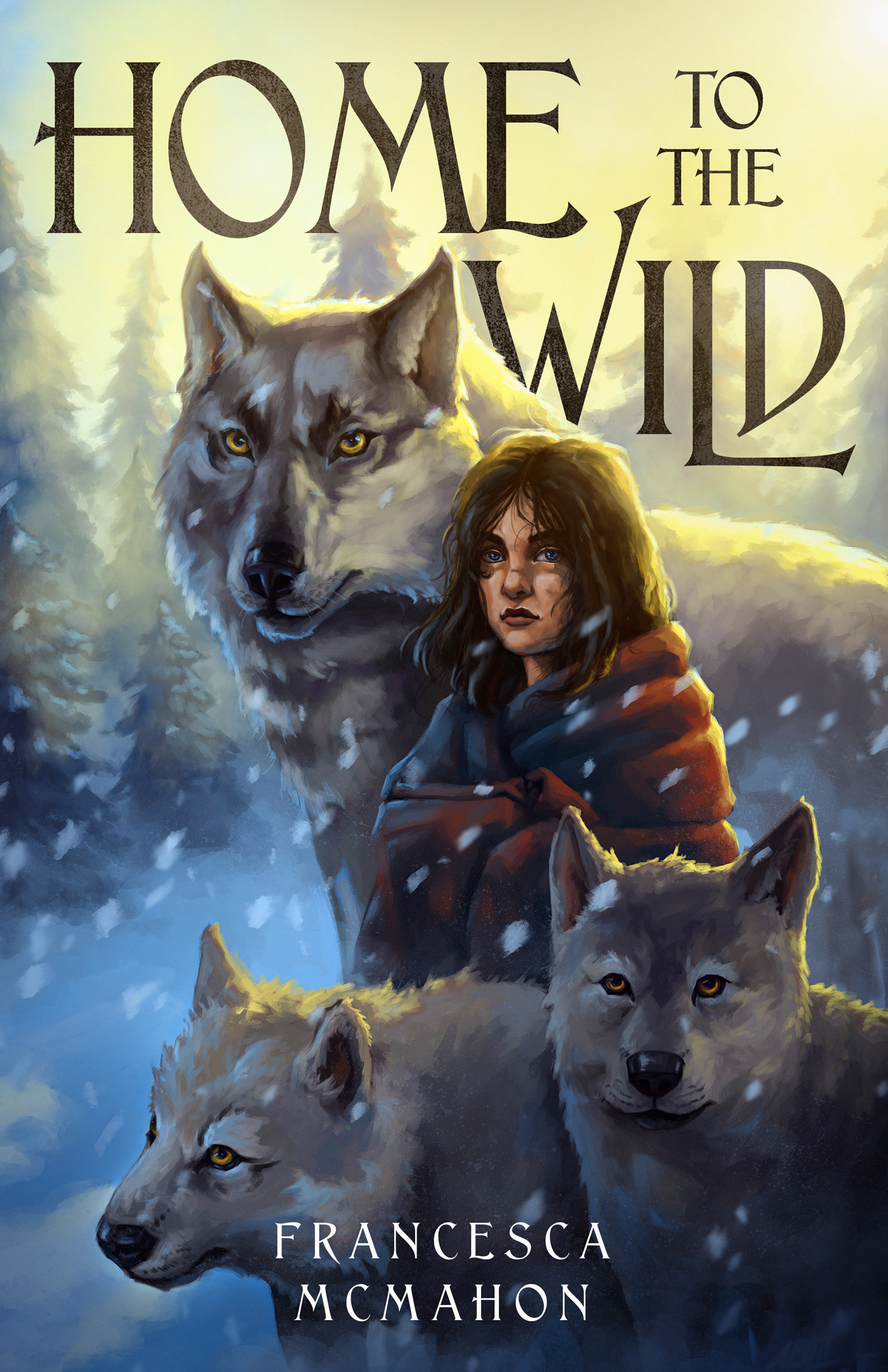 Into the Wild book cover 1