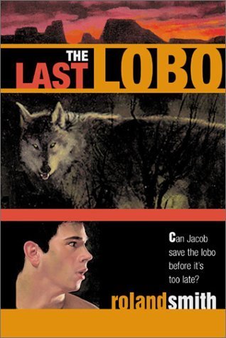 Jacob Lansa book cover 3