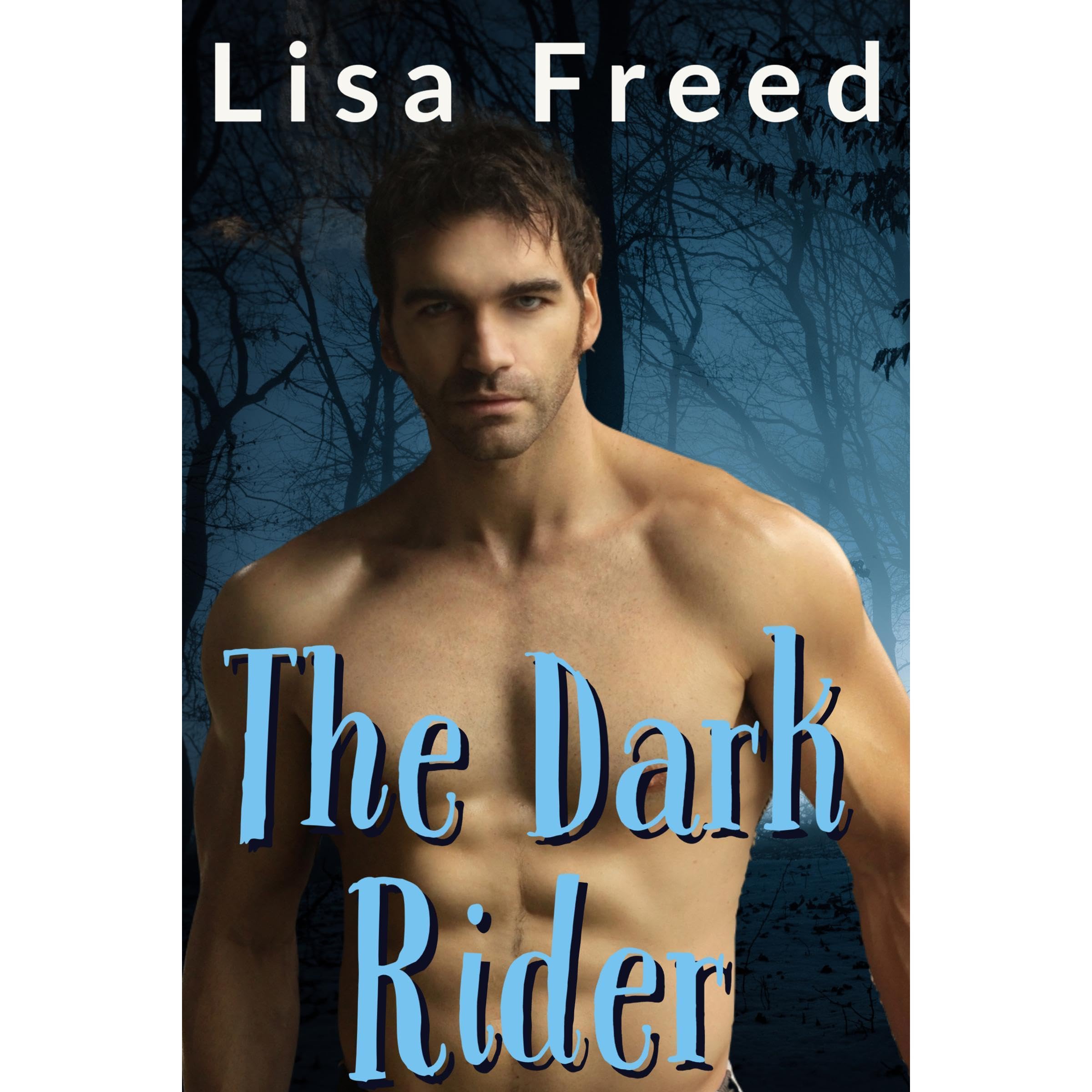The Dark Rider book cover