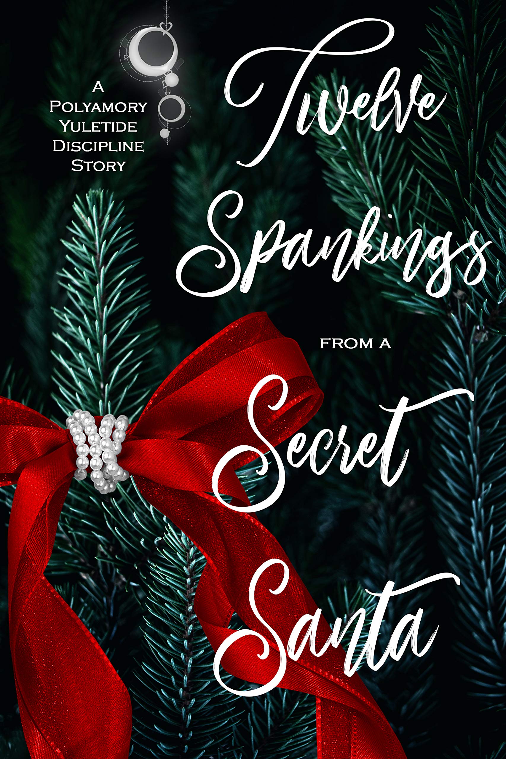 Twelve Spankings from a Secret Santa book cover