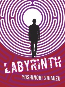 Labyrinth book cover
