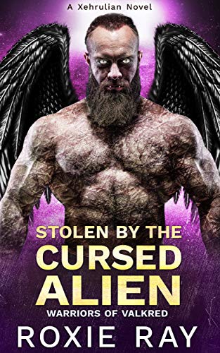 Warriors of Valkred book cover 2