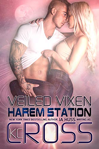 Veiled Vixen book cover