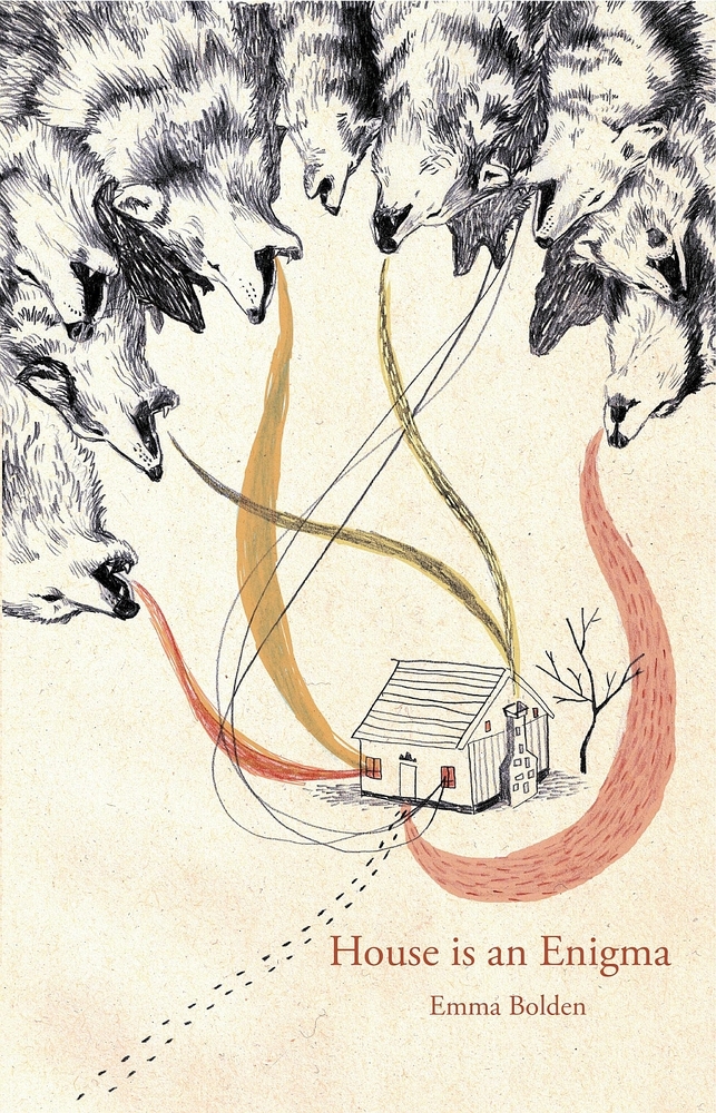 House is an Enigma book cover