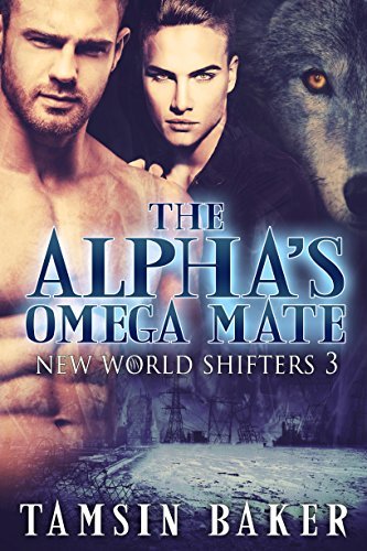New World Shifters book cover 3