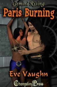Paris Burning book cover