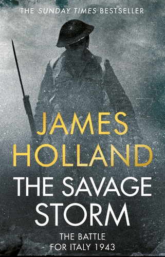 The Savage Storm book cover