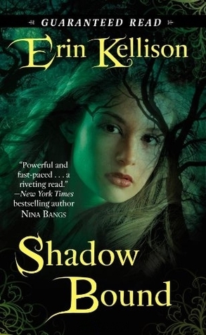 Shadow book cover 1