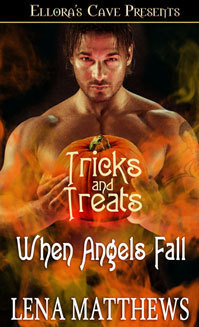 When Angels Fall book cover