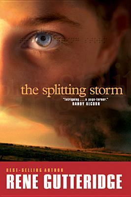 Storm book cover 2