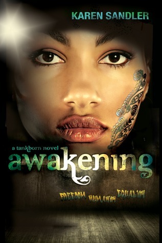 Awakening book cover