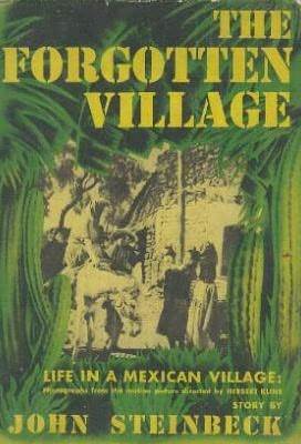 The Forgotten Village book cover
