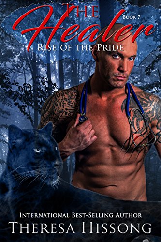 The Healer book cover