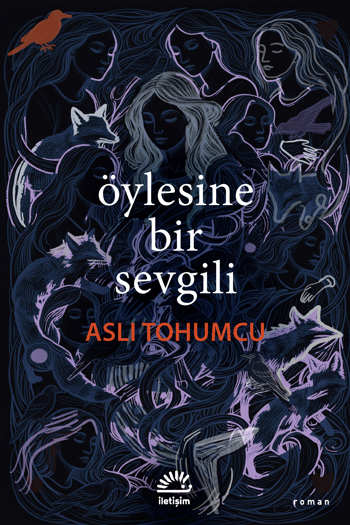 öylesine bir sevgili book cover