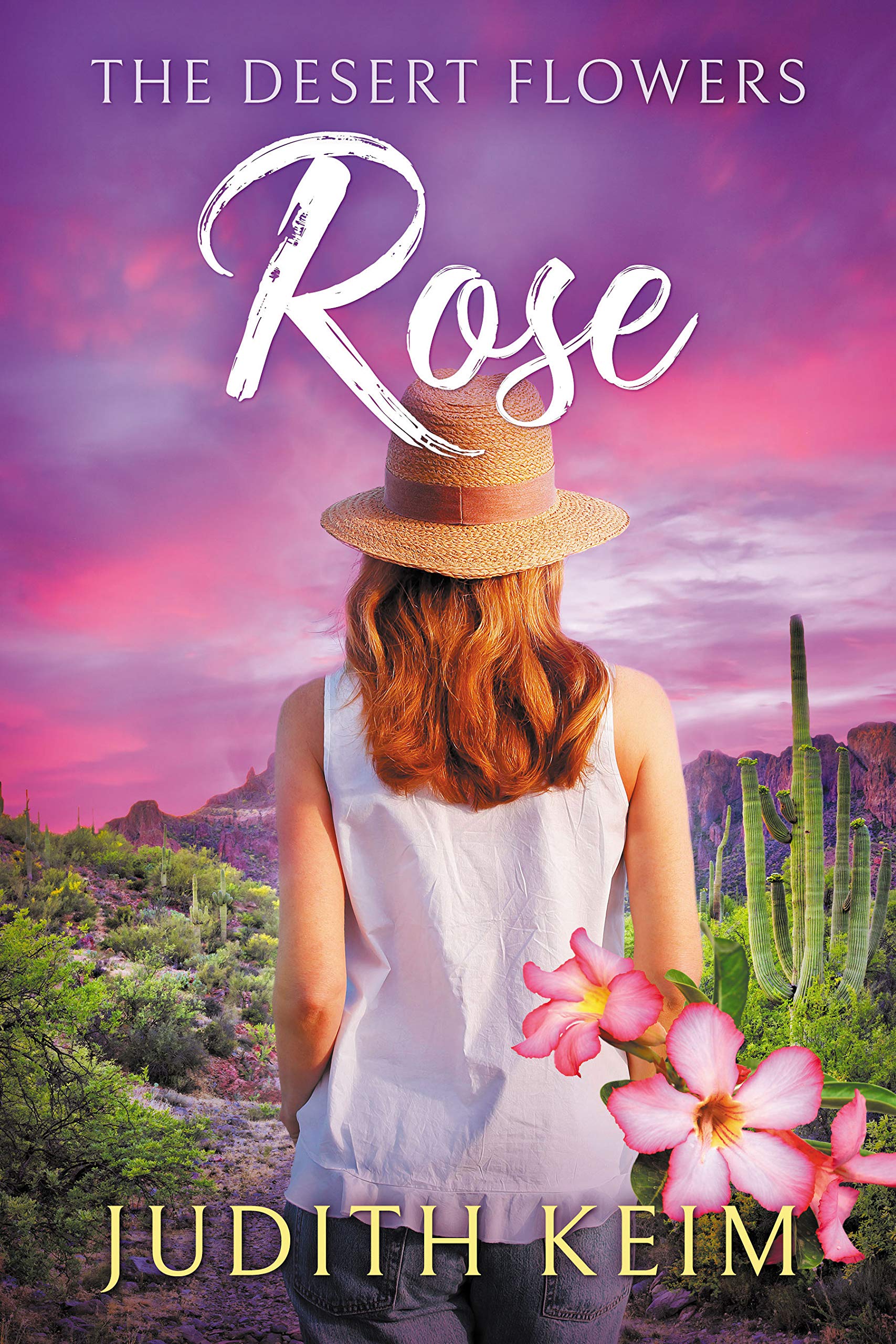 The Desert Sage Inn book cover 1