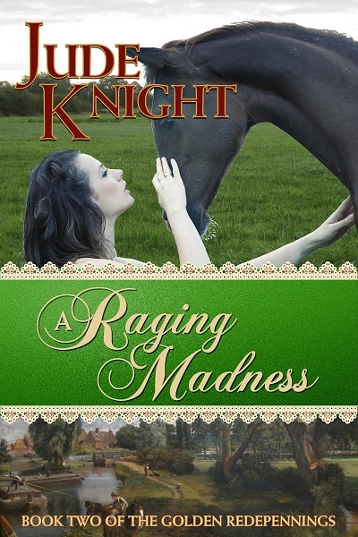 A Raging Madness book cover