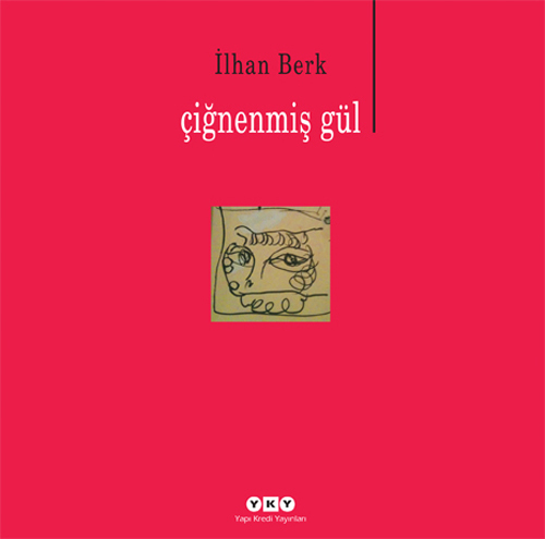 Çiğnenmiş Gül book cover