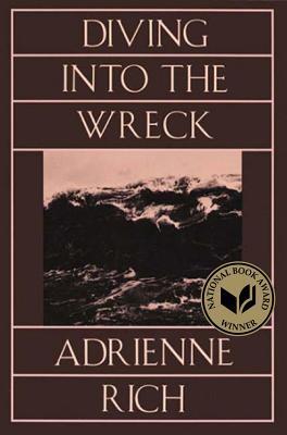 Diving Into the Wreck book cover