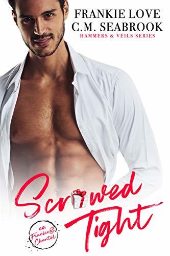 Hammers and Veils book cover 3