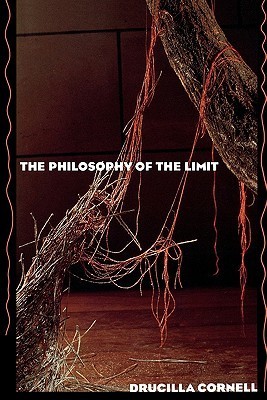 The Philosophy of the Limit book cover