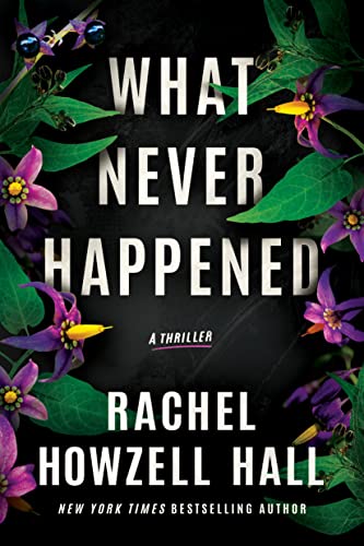 What Never Happened book cover