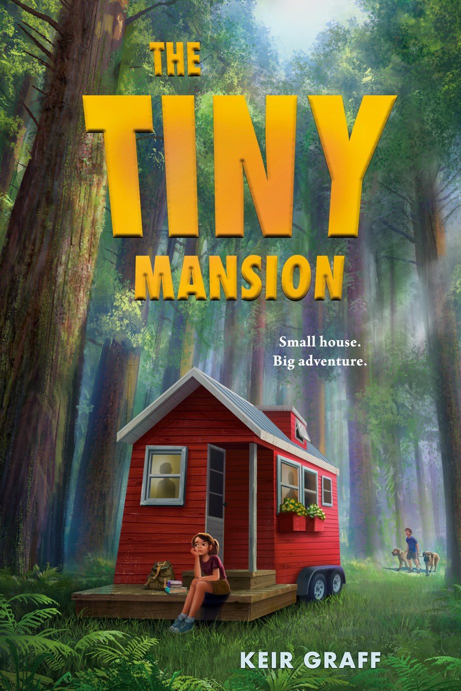 The Tiny Mansion book cover