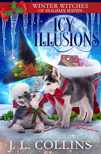 Icy Illusions book cover