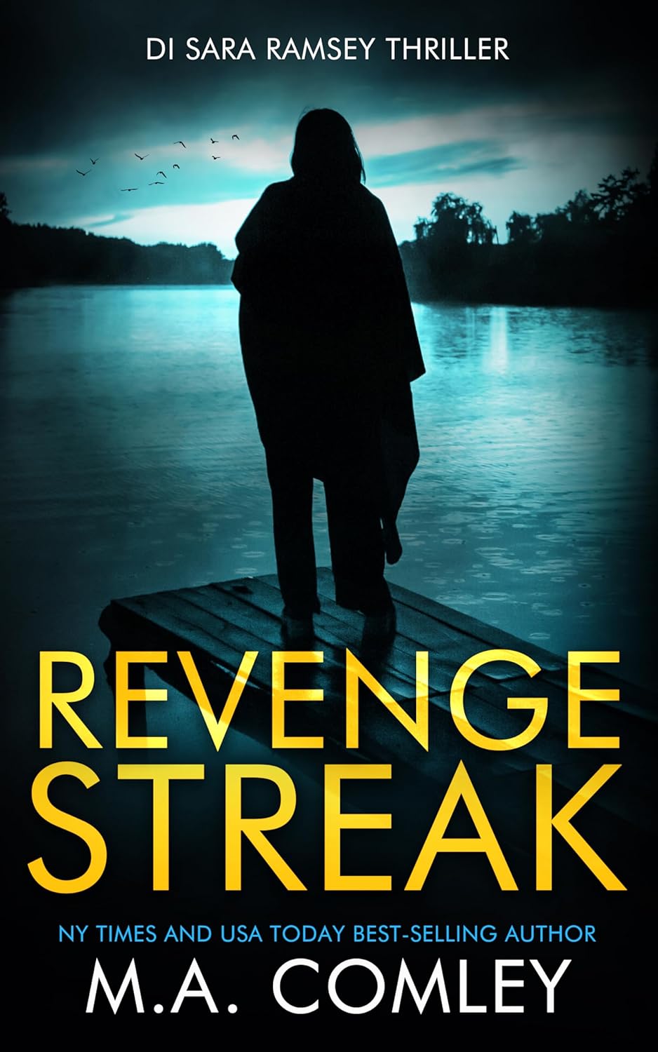 Revenge Streak book cover