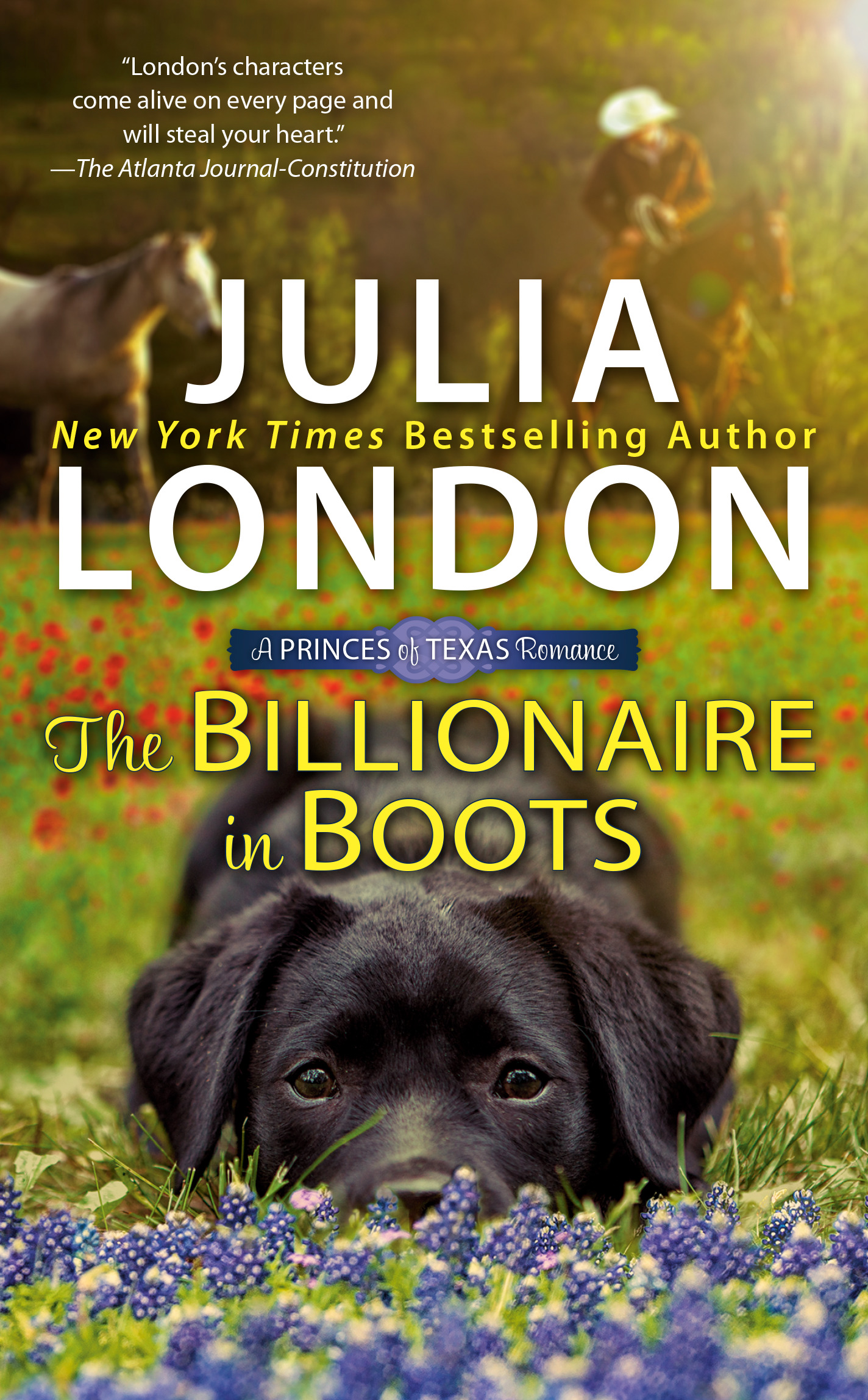 Princes of Texas book cover 3