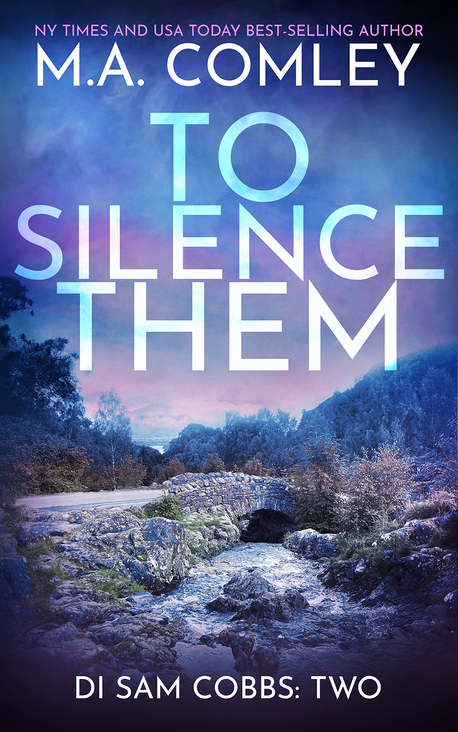 DI Sam Cobbs book cover 2