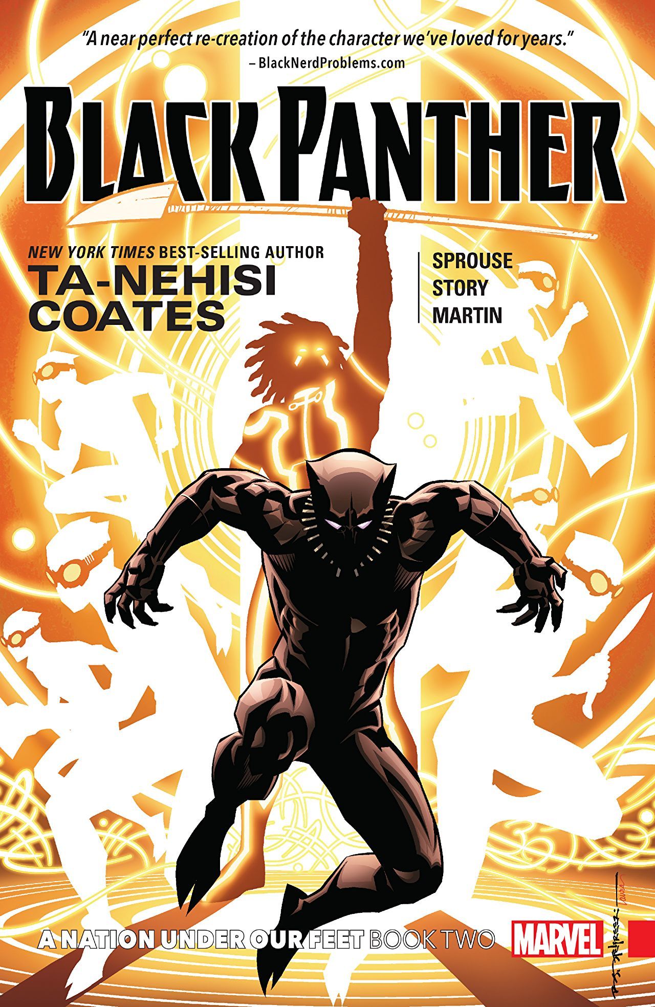 Black Panther book cover 2