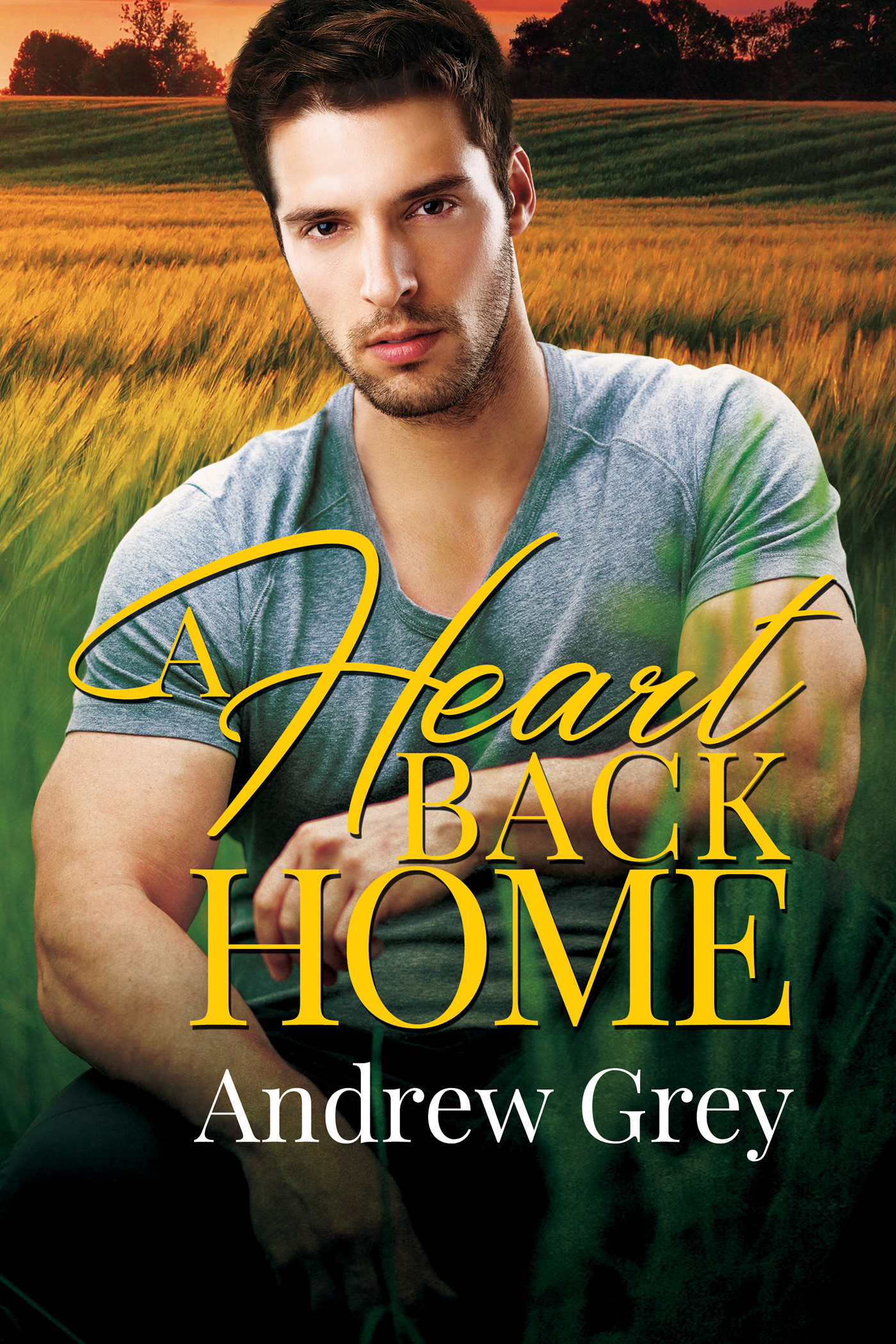 Heart Home Family book cover 1