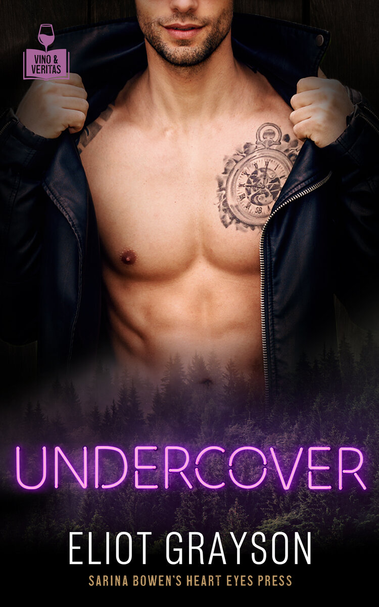 Undercover book cover