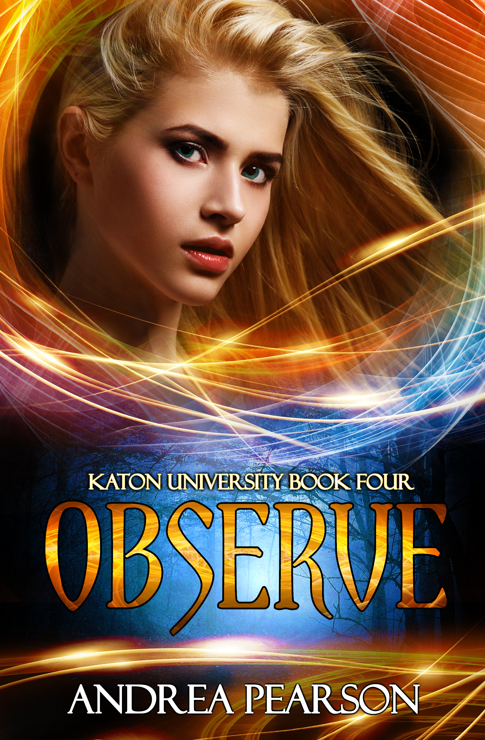 Observe book cover