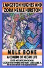 Mule Bone book cover