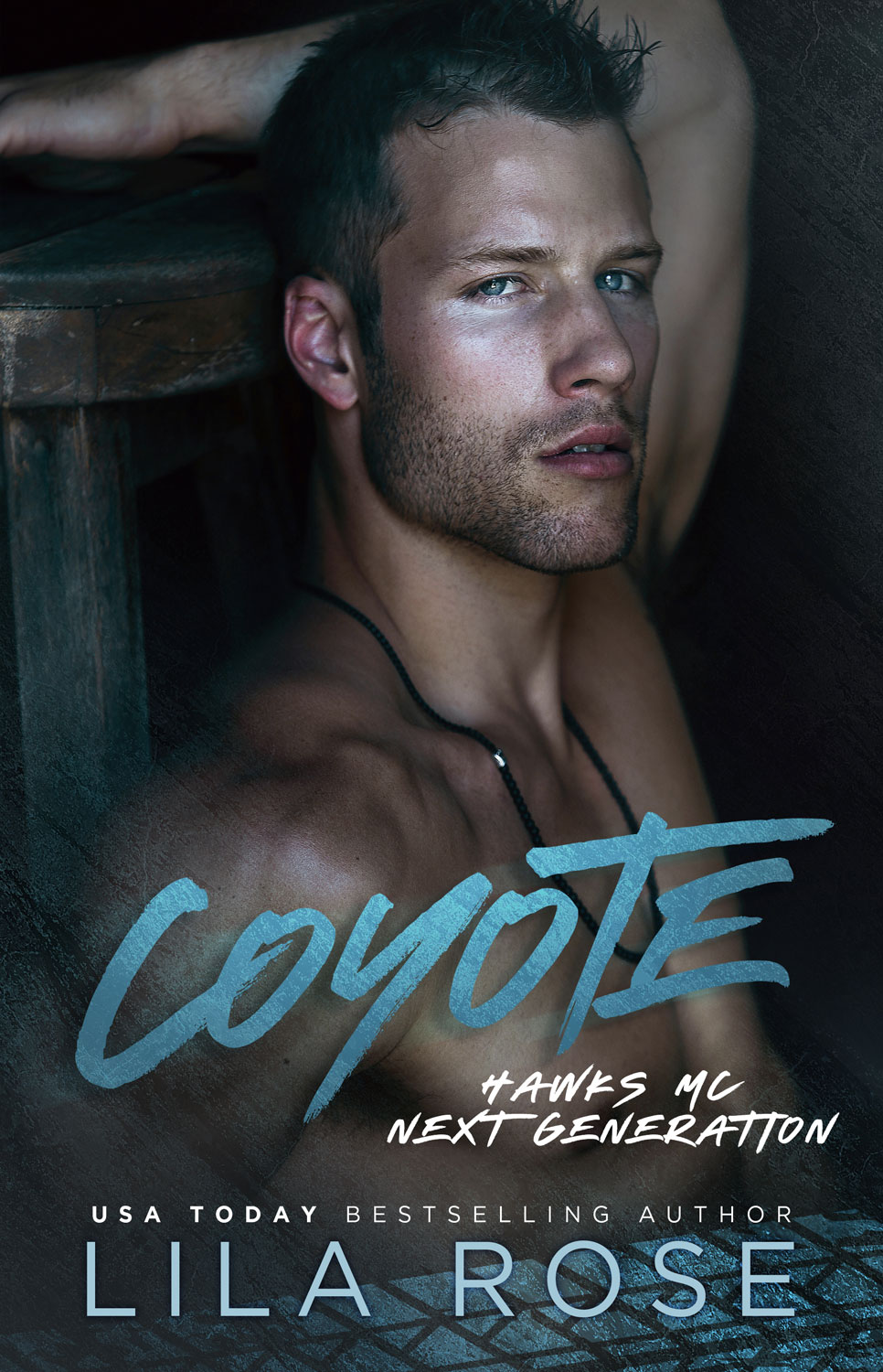 Hawks MC: Next Generation book cover 1