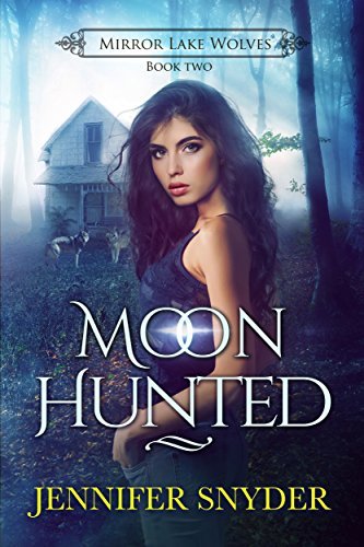 Mirror Lake Wolves book cover 2