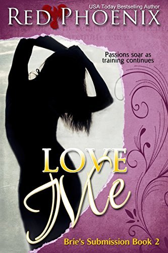 Brie's Submission book cover 2