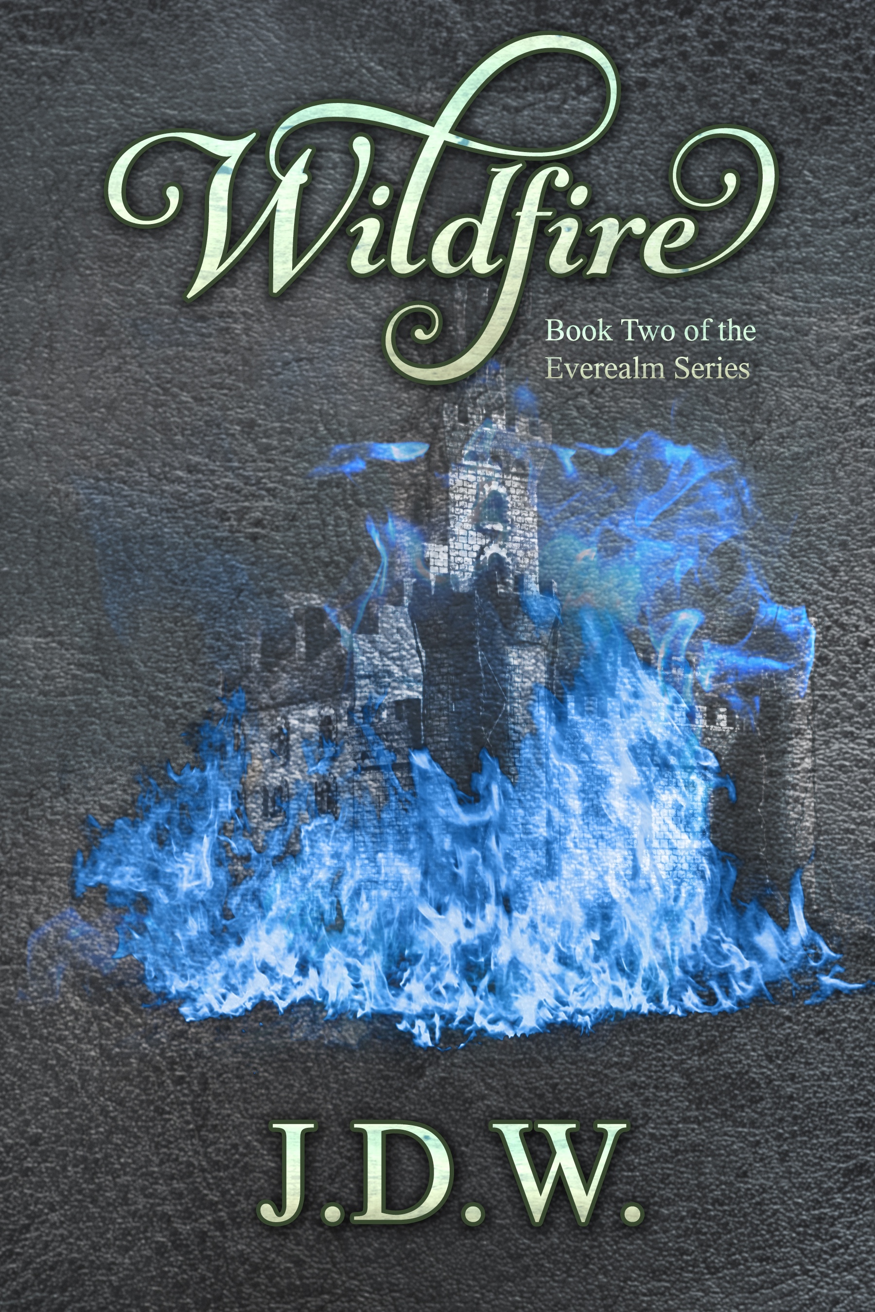Everealm book cover 2