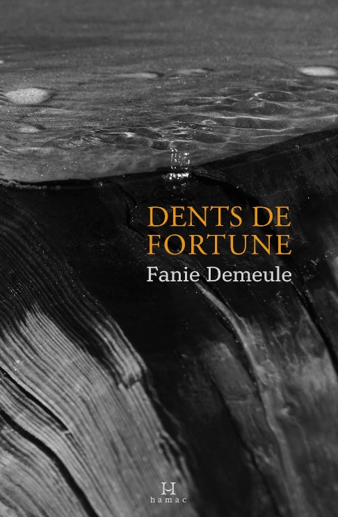 Dents de fortune book cover