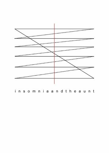Insomnia and the Aunt book cover