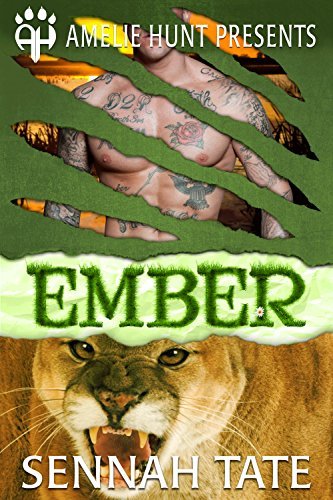 Sunset Glade Panthers book cover 3