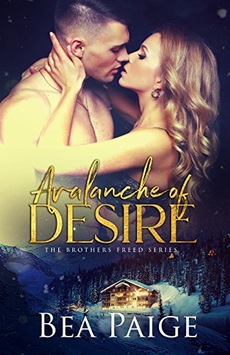 Brothers Freed book cover 1