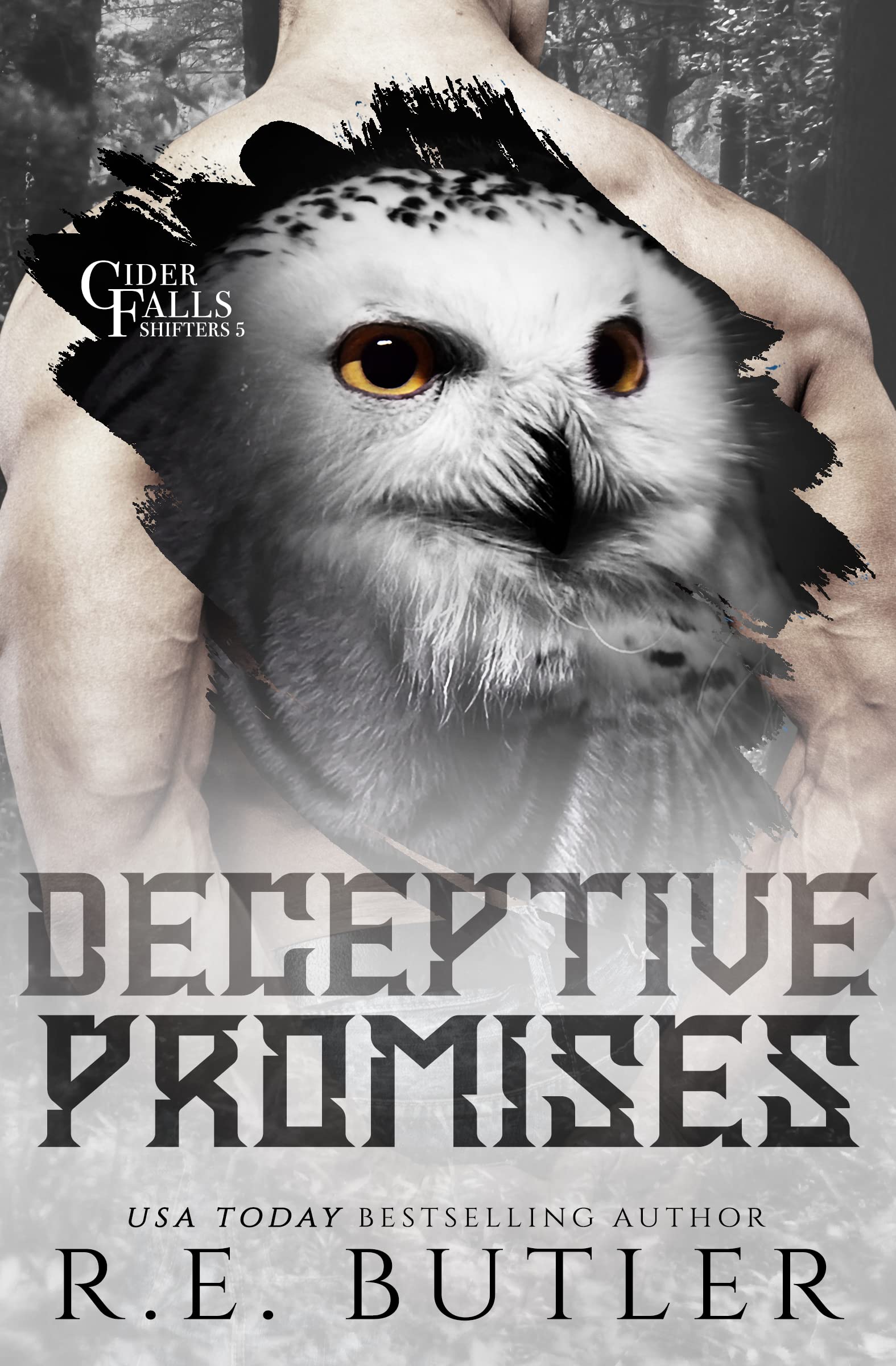 Deceptive Promises book cover