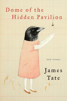 Dome of the Hidden Pavilion book cover