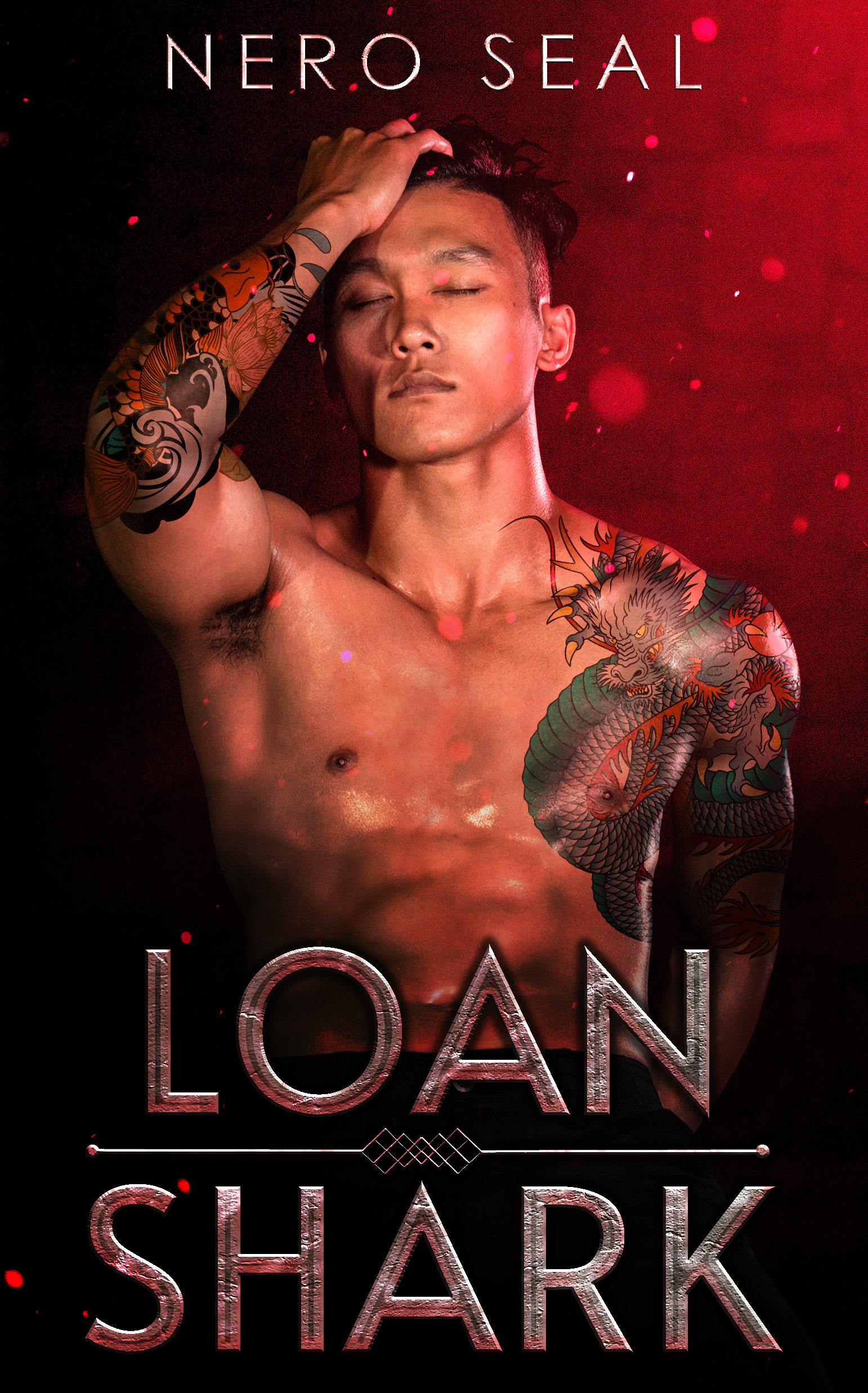 Loan Shark book cover