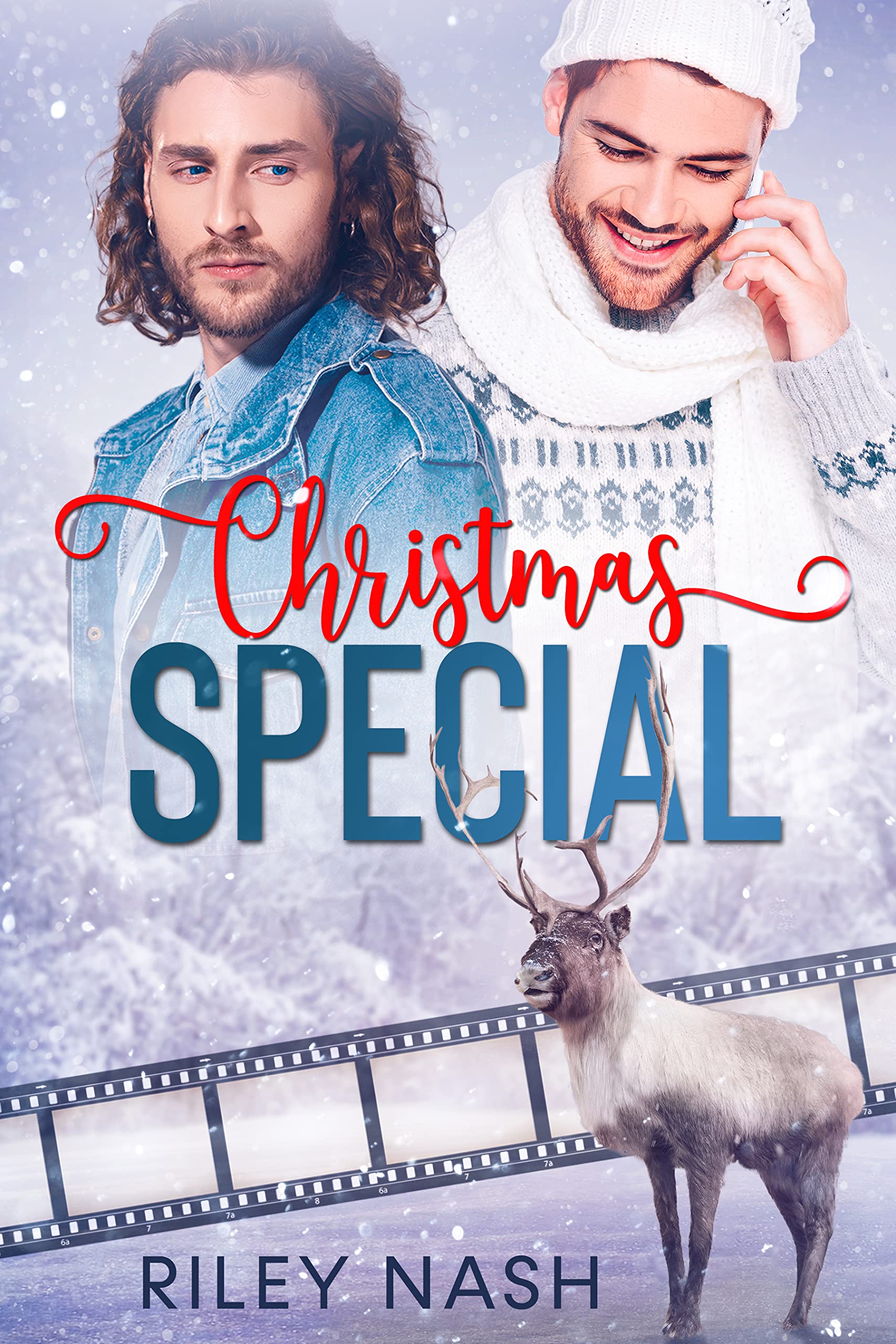 Christmas Special book cover