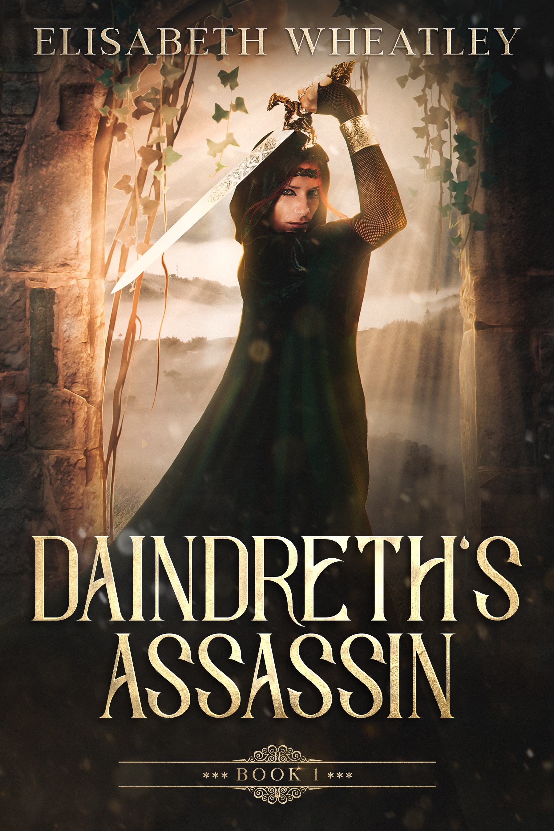 Daindreth's Assassin book cover 1