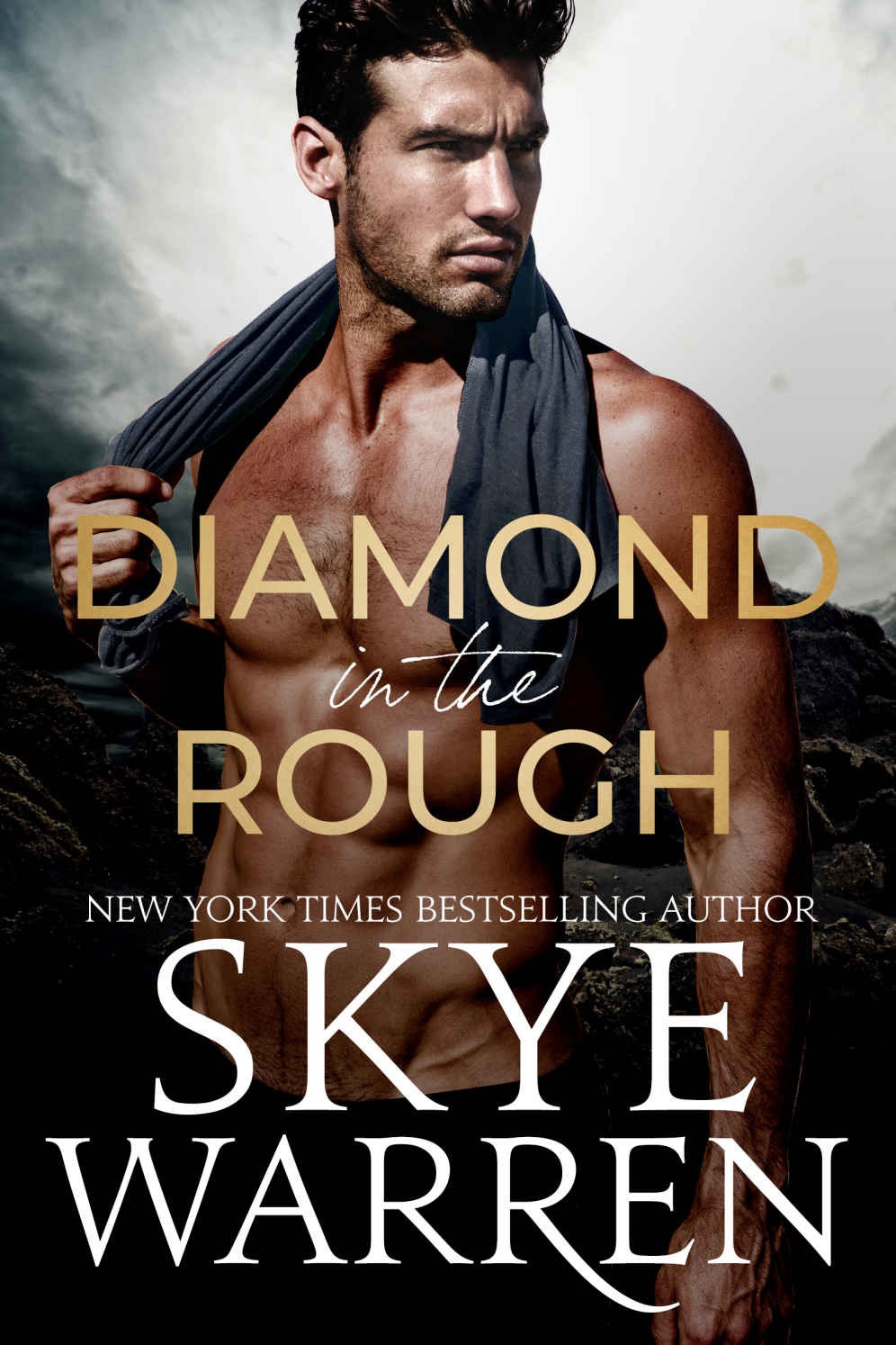 Diamond in the Rough book cover